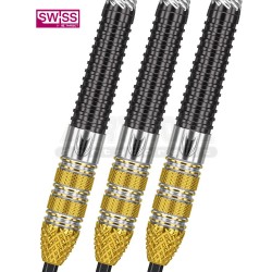 Freccette steel darts Raymond van Barneveld 9five GEN4 Swiss - 23 g. Target Darts