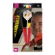 Freccette steel darts Dimitri Van den Bergh Swiss - 23 g. Target Darts