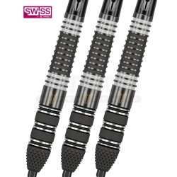 Freccette steel darts Raymond van Barneveld 9five GEN4 ECHO Swiss - 23 g. Target Darts