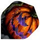 Alette per freccette Mission - Halloween Mission Darts