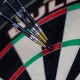 Freccette steel darts Massimo Dalla Rosa - 20 g. Bull's Darts